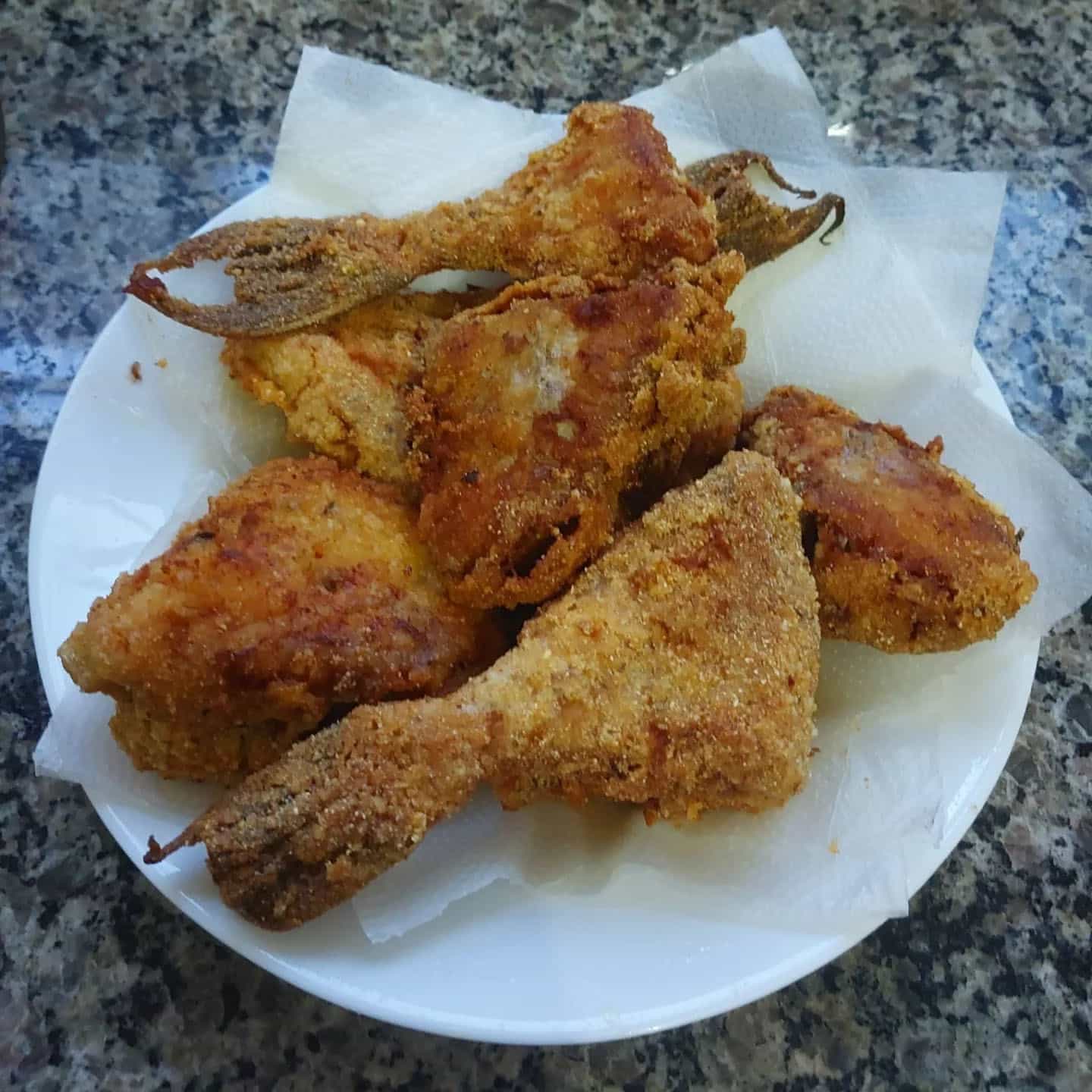 peixe porquinho frito